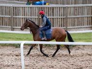 BP140425-23 - Squire Danagher (red hat)
